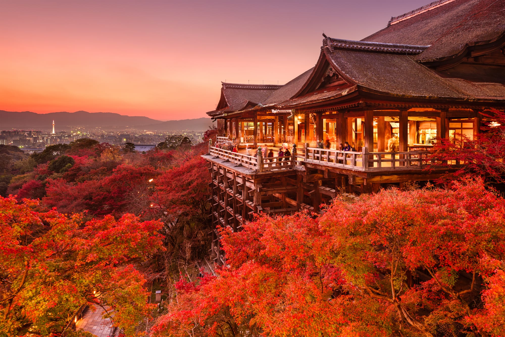 Kiyomizu-dera's wooden temple hall lit at dusk above a hillside of brilliant red autumn colour