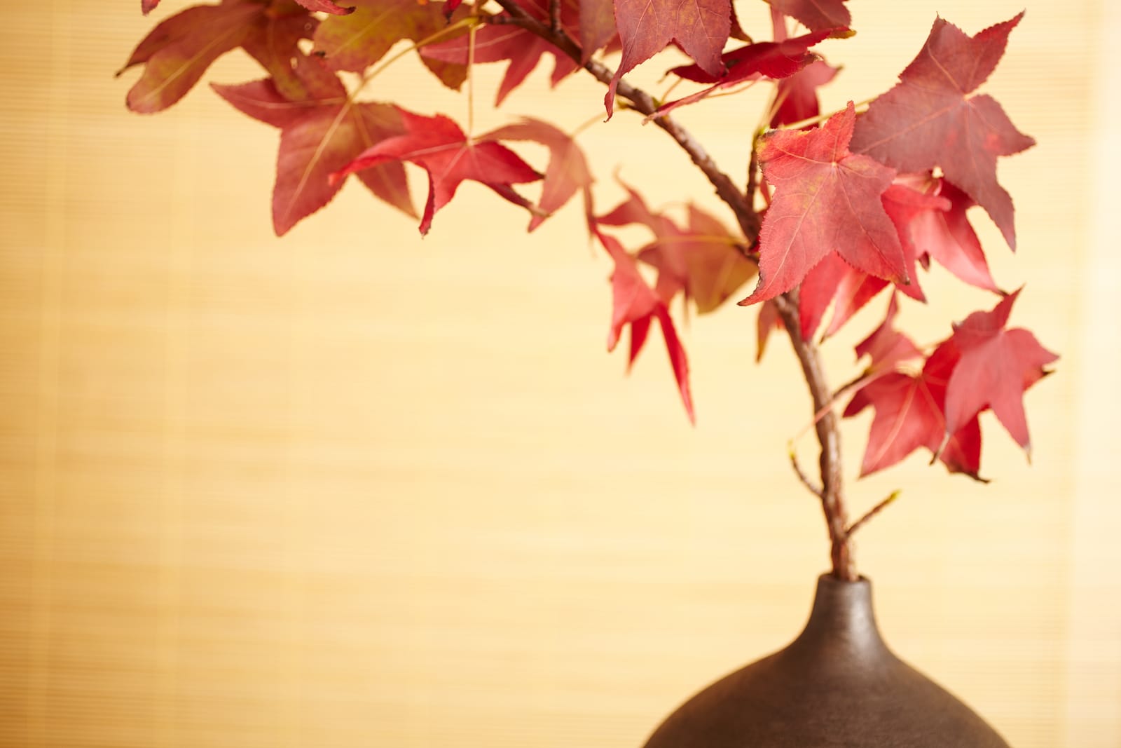 A single branch of red maple leaves arranged in a dark ceramic vase against a woven backdrop