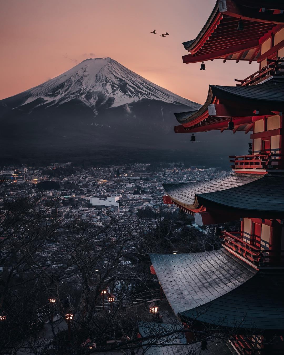 The five-storeyed Chureito Pagoda silhouetted against Mount Fuji at dusk, with birds crossing the sky between them