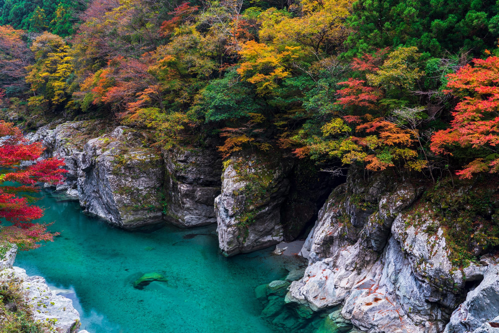Turquoise river water winding through a rocky gorge framed by red, orange and green autumn trees
