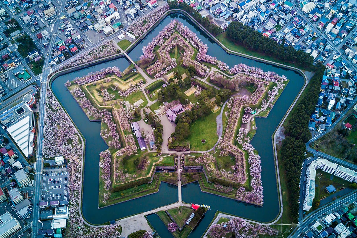 Goryōkaku's star-shaped fort traced by cherry blossoms from above