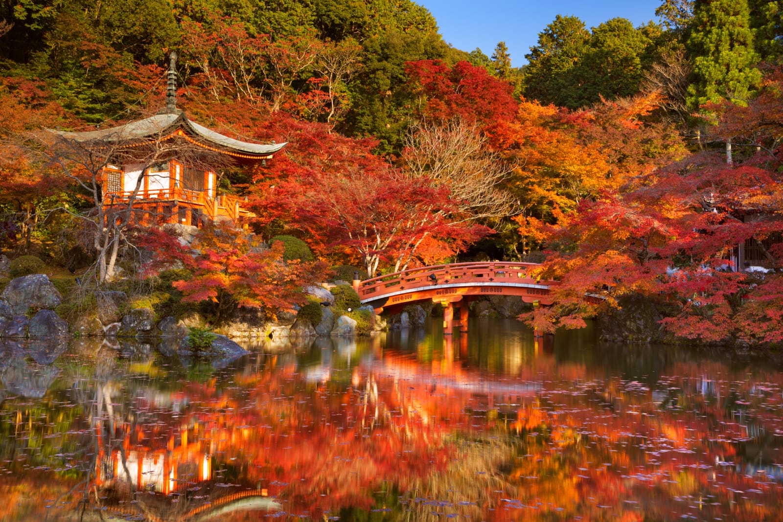A vermilion arched bridge and pagoda roof among fiery red and gold maples beside a still pond