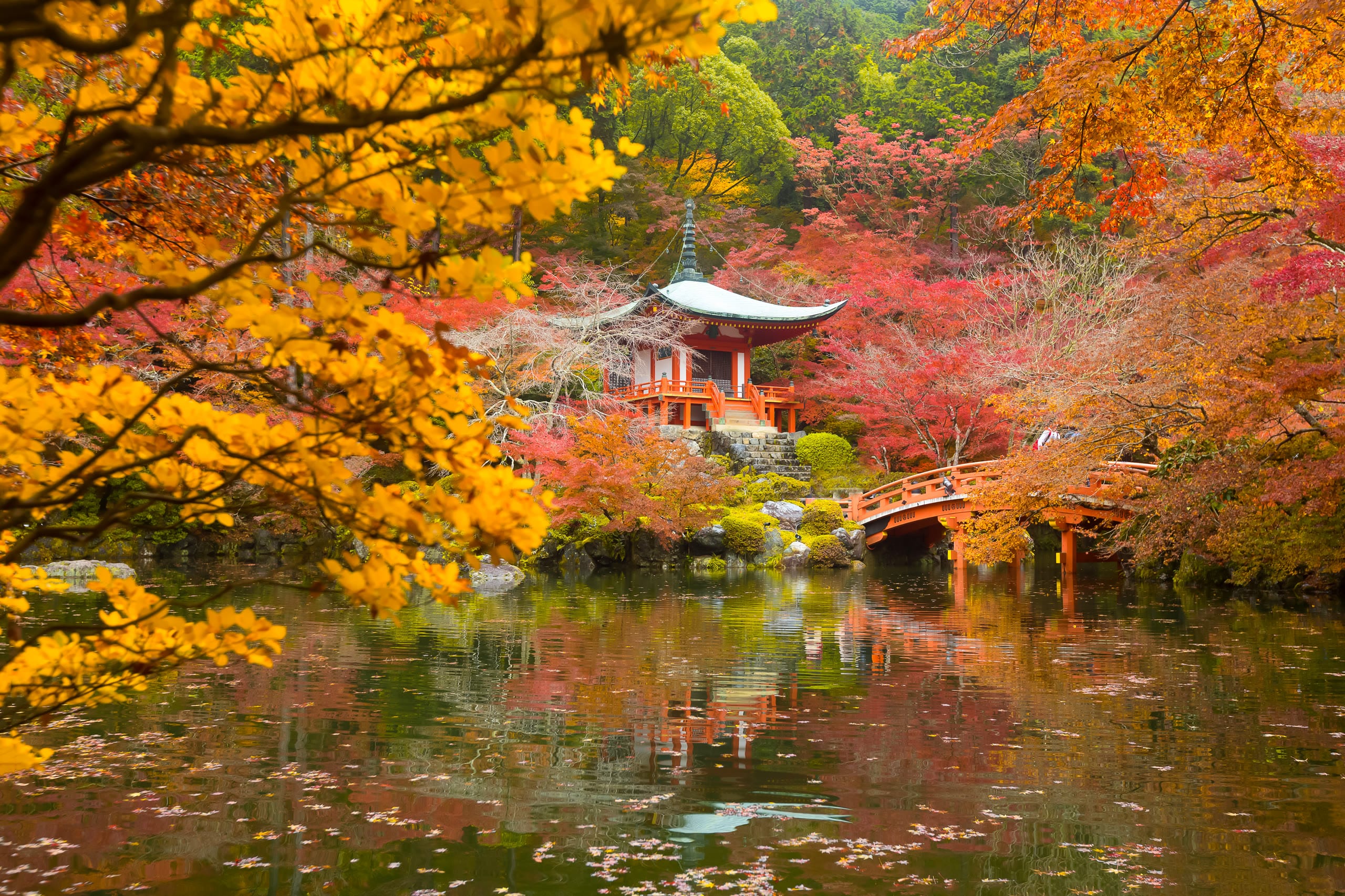 The vermilion hall and bridge of Daigo-ji reflected among autumn maples