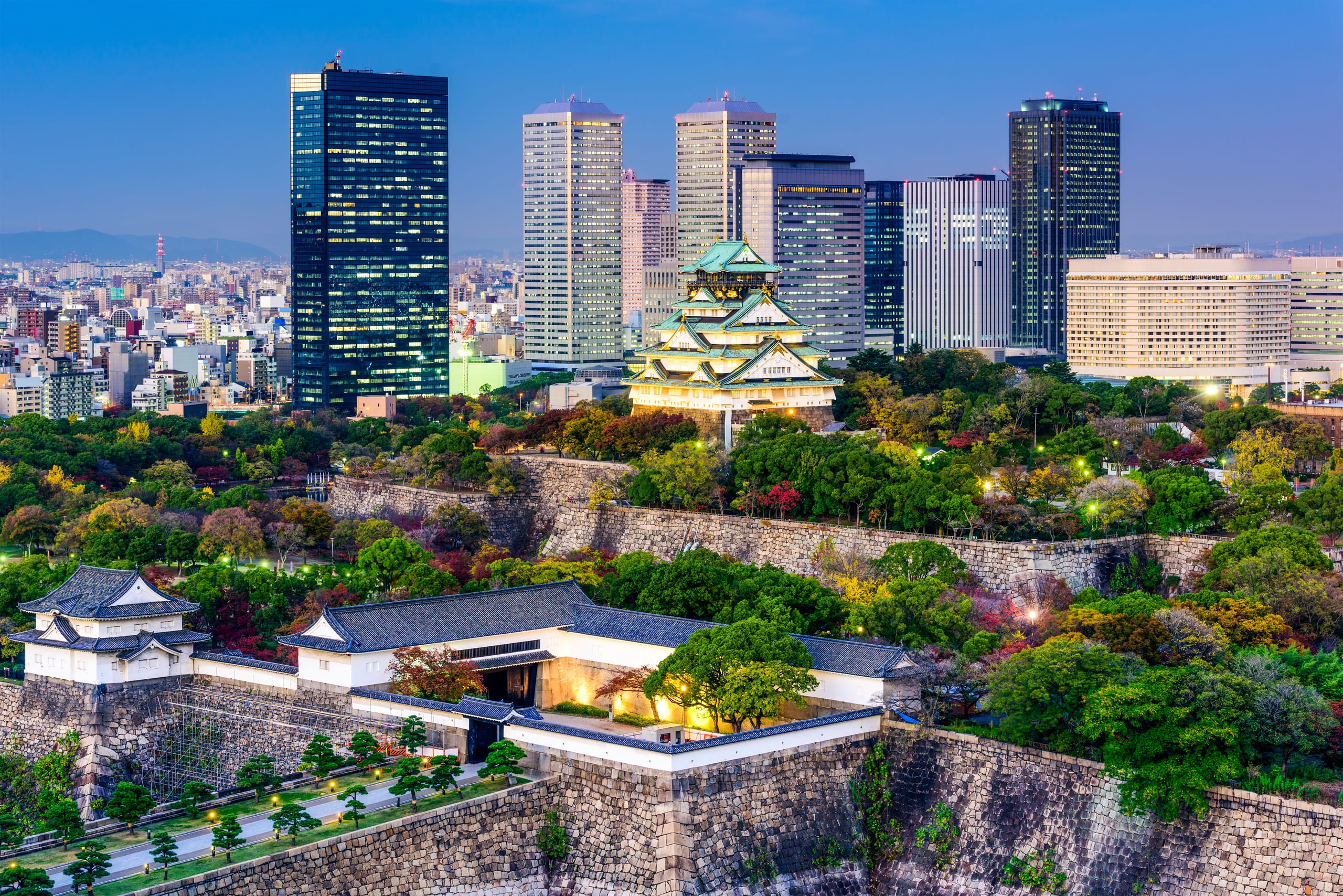 Osaka Castle's keep with gold ginkgo trees along the moat in late autumn