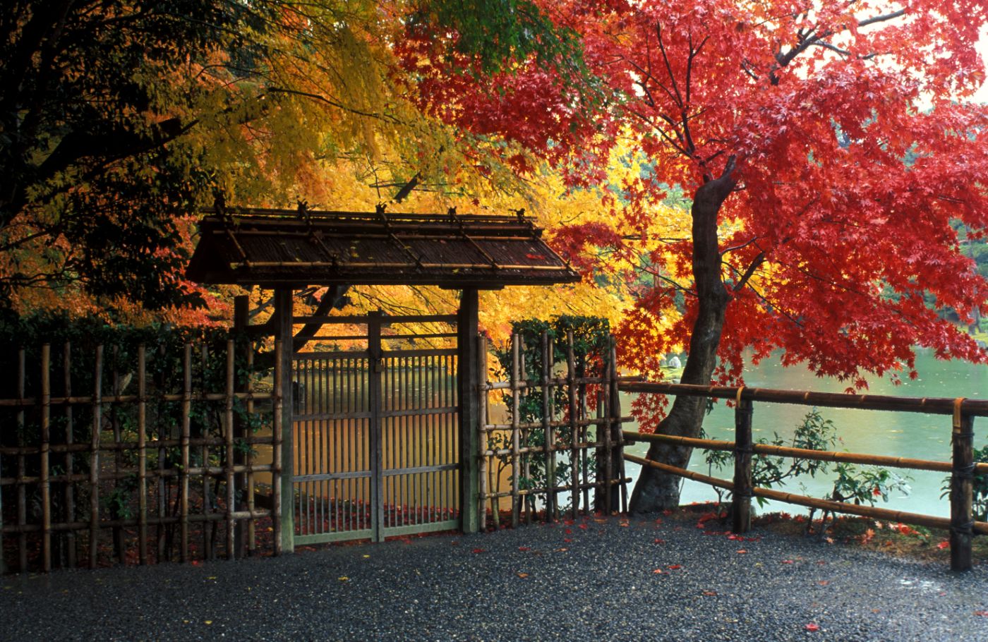 A weathered stone gate beneath autumn maples in Kyoto