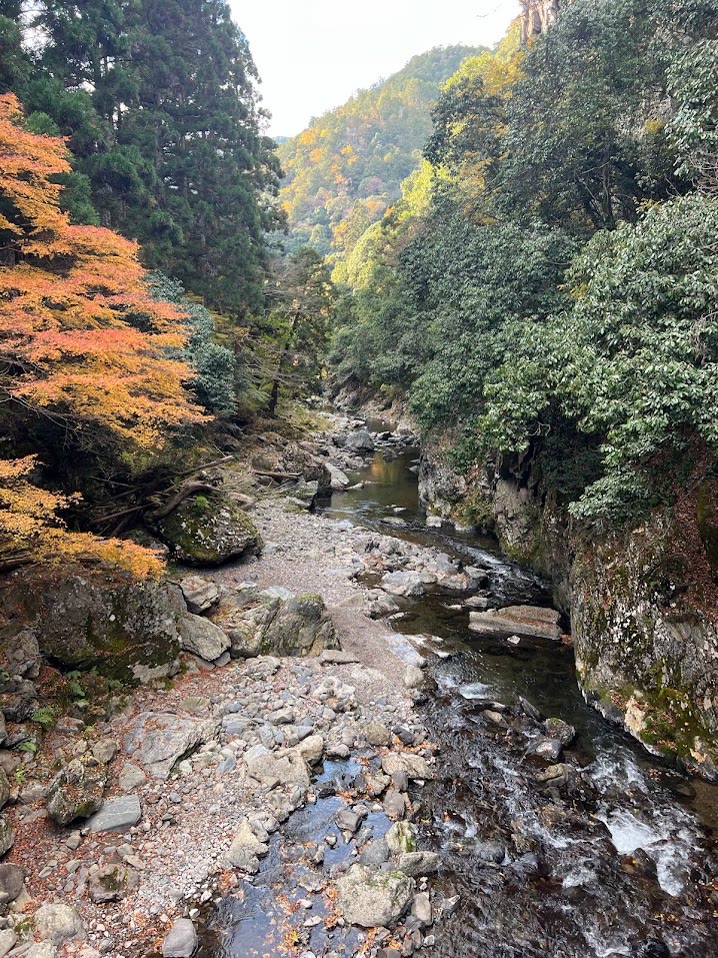 A river gorge near Kaga in autumn, water running between wooded banks