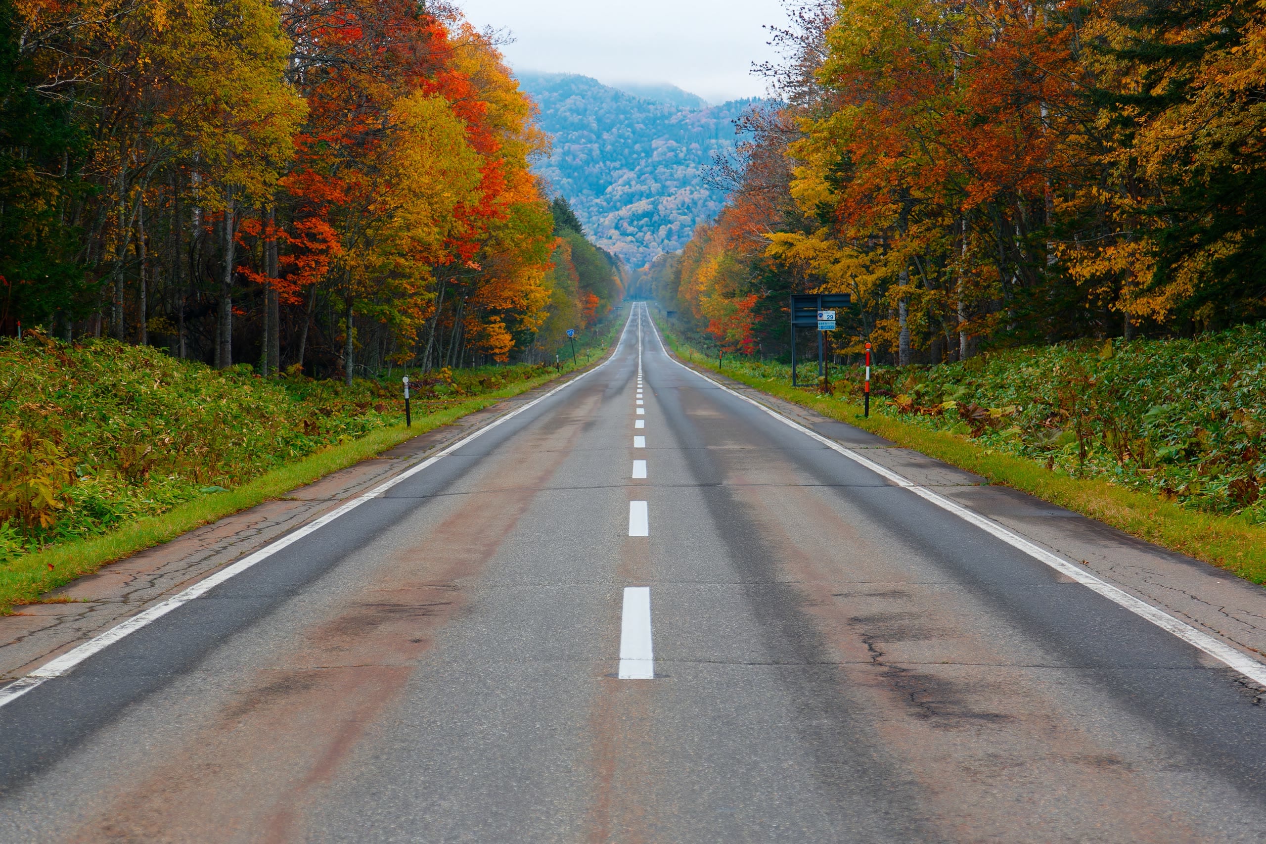 A road through gold and amber autumn trees near Kakunodate