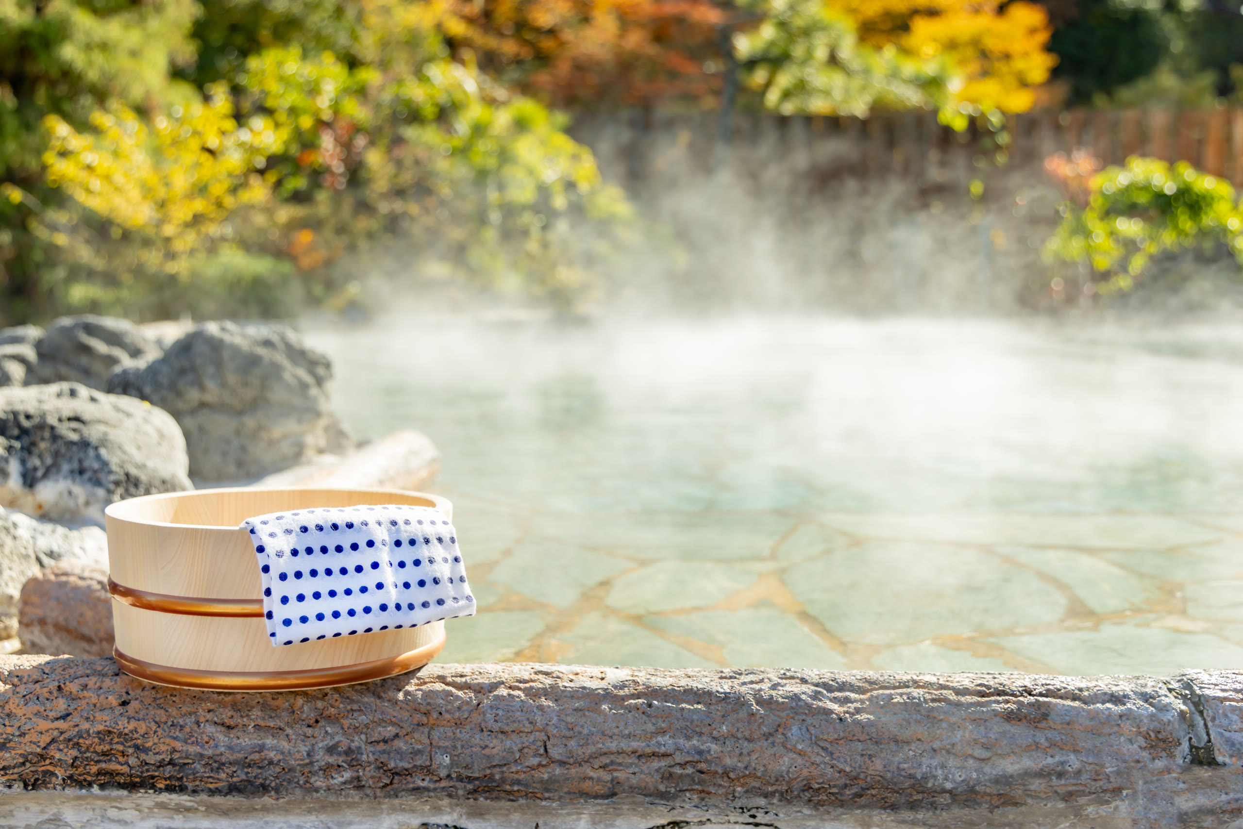 An open-air bath framed by beech trees at Nyuto Onsen