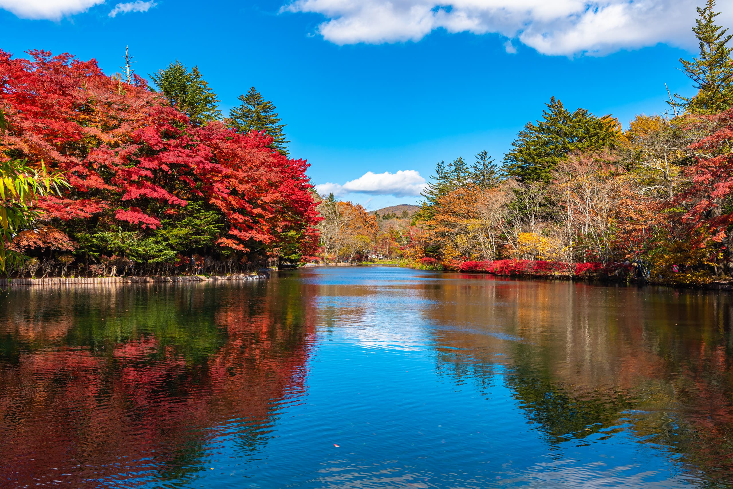 Autumn trees reflected in still water, northern Japan