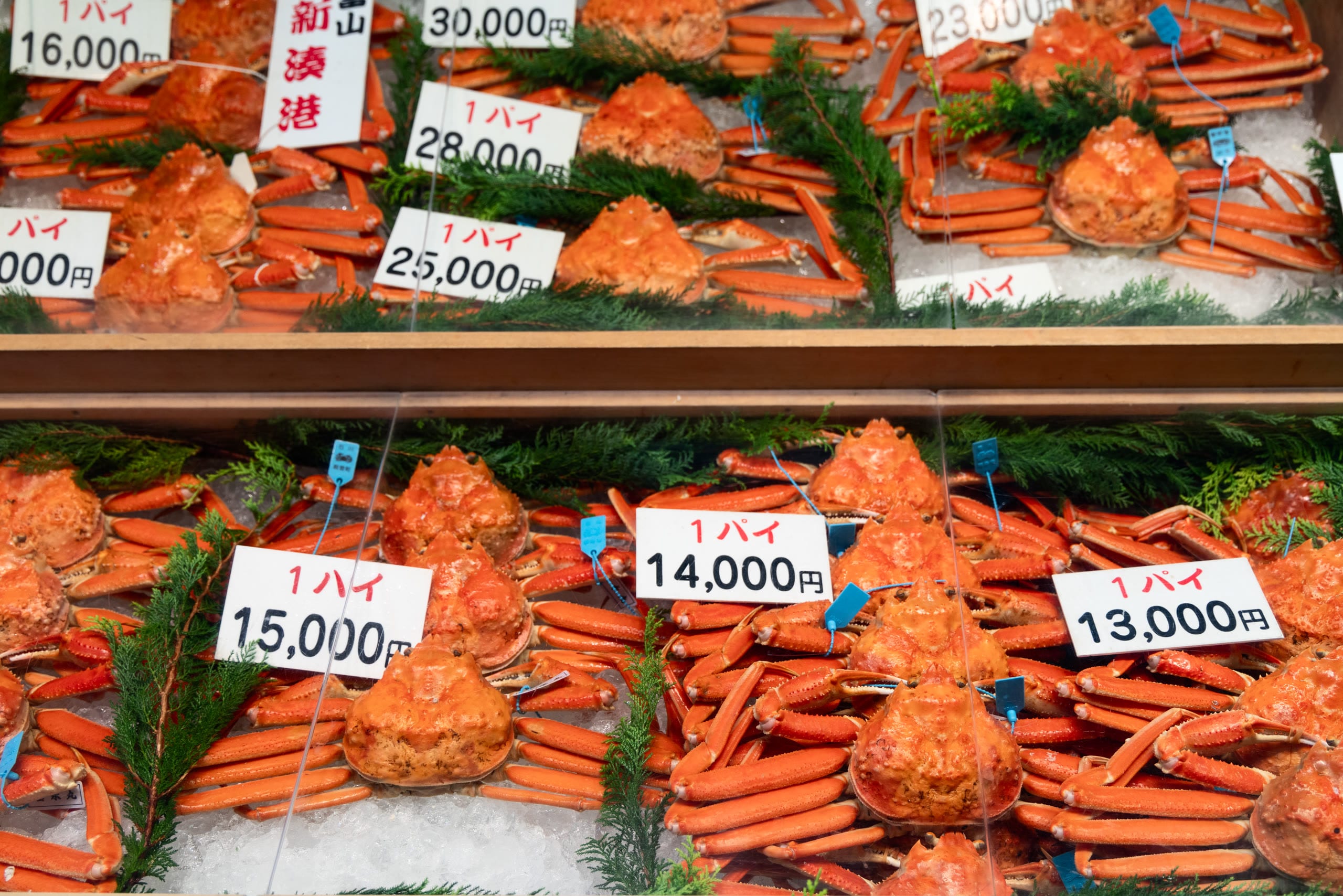 Hakodate's morning seafood market stalls, Hokkaido
