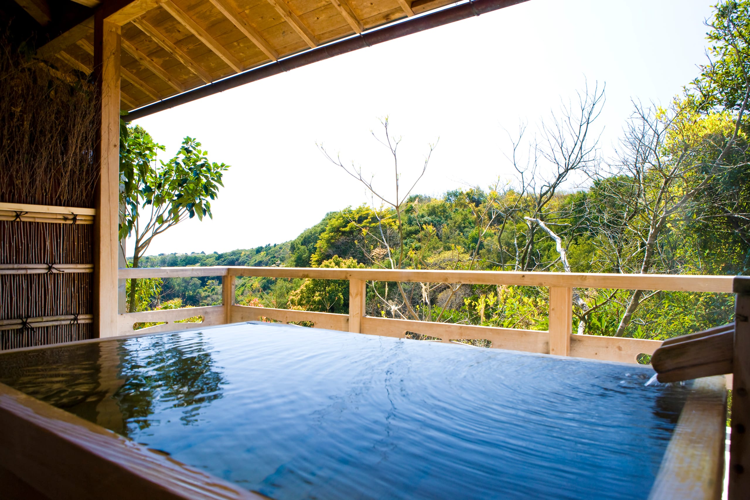 A milky sulphur bath at Tsurunoyu, Nyuto Onsen, steam rising among beech trees