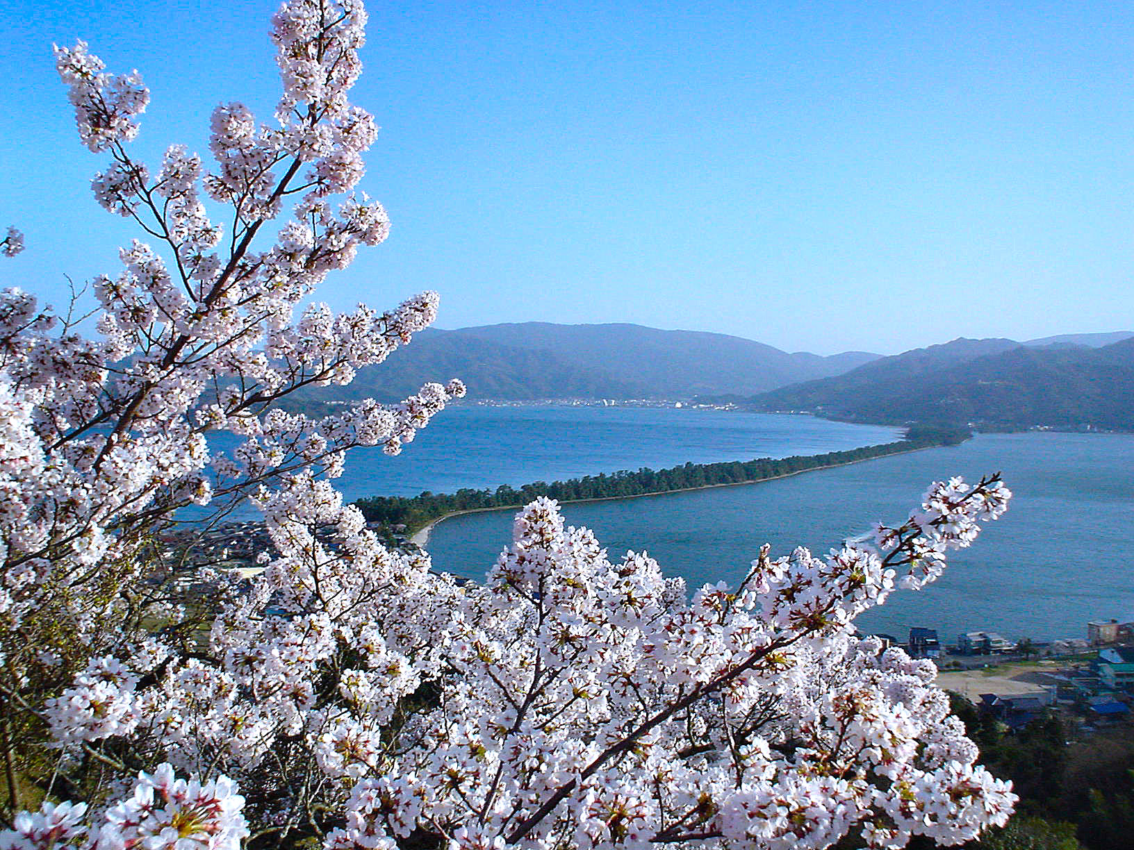 The pine-covered sandbar of Amanohashidate across Miyazu Bay