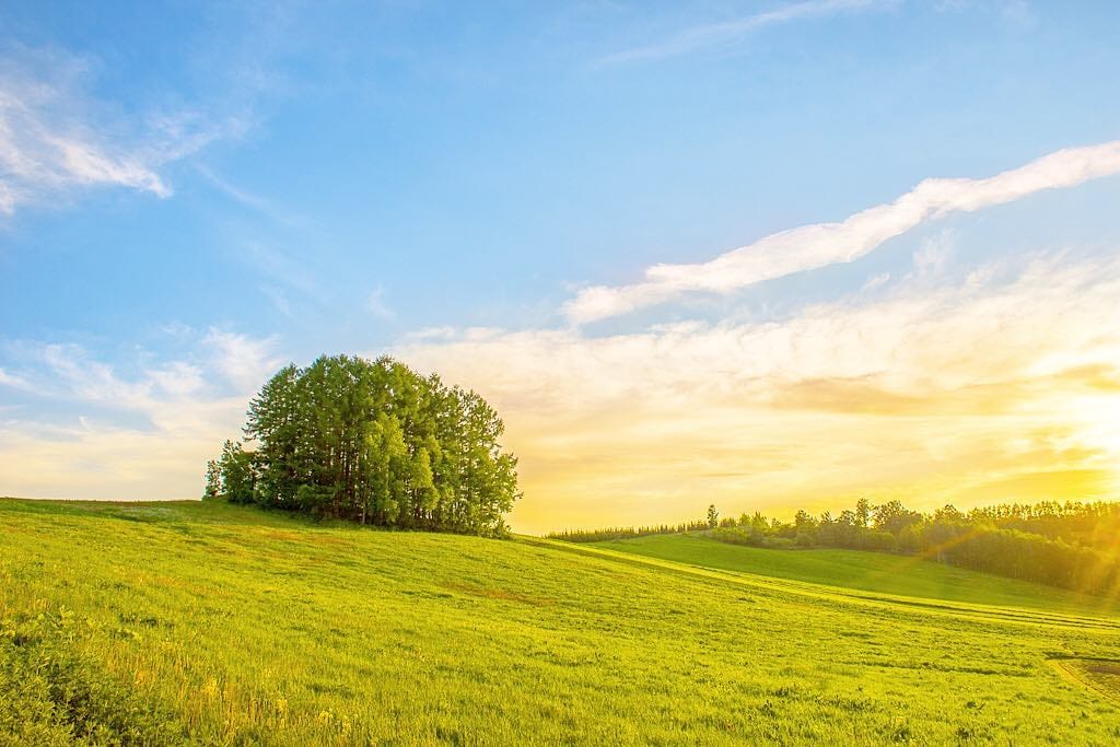 Biei's patchwork summer fields and forest, Hokkaido