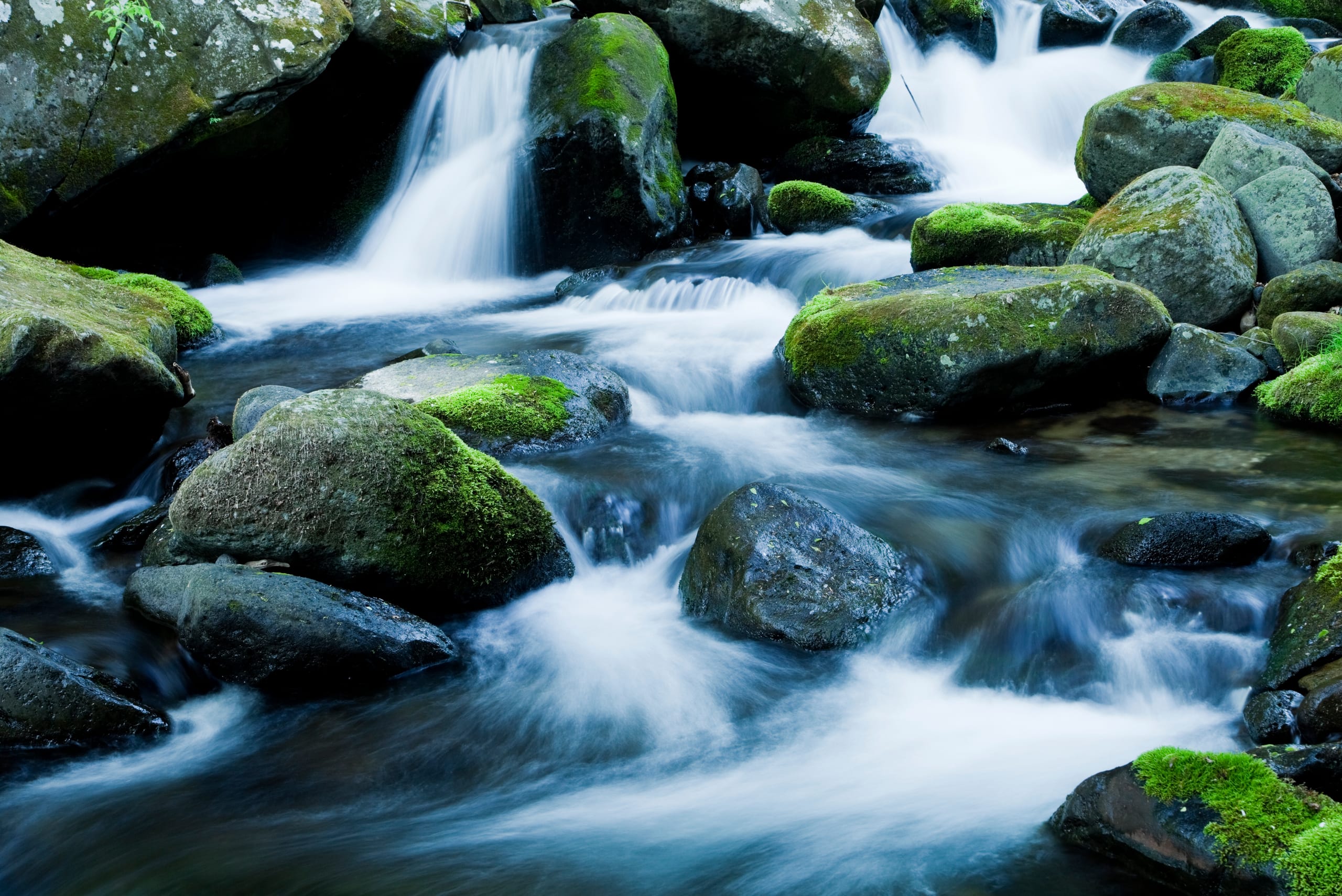 A mountain stream running over moss-covered boulders in the Hokkaido high country